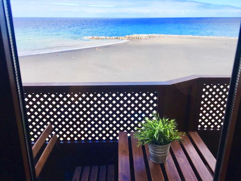 Apartamento Playa Ciudad